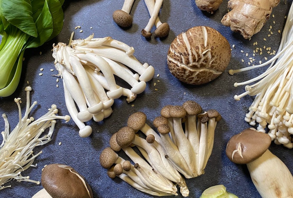 porcini mushrooms