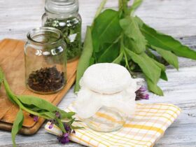 herbs for hot flashes