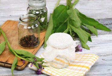 herbs for hot flashes