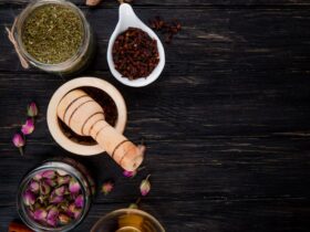 Best Ayurvedic Hospital in Kerala: What to Look For